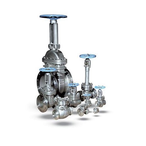 Gate Valve 300 Class